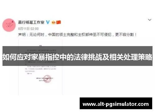 如何应对家暴指控中的法律挑战及相关处理策略