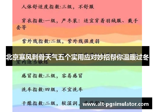 北京寒风刺骨天气五个实用应对妙招帮你温暖过冬