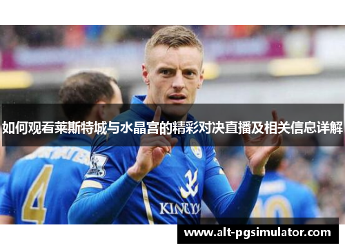 如何观看莱斯特城与水晶宫的精彩对决直播及相关信息详解